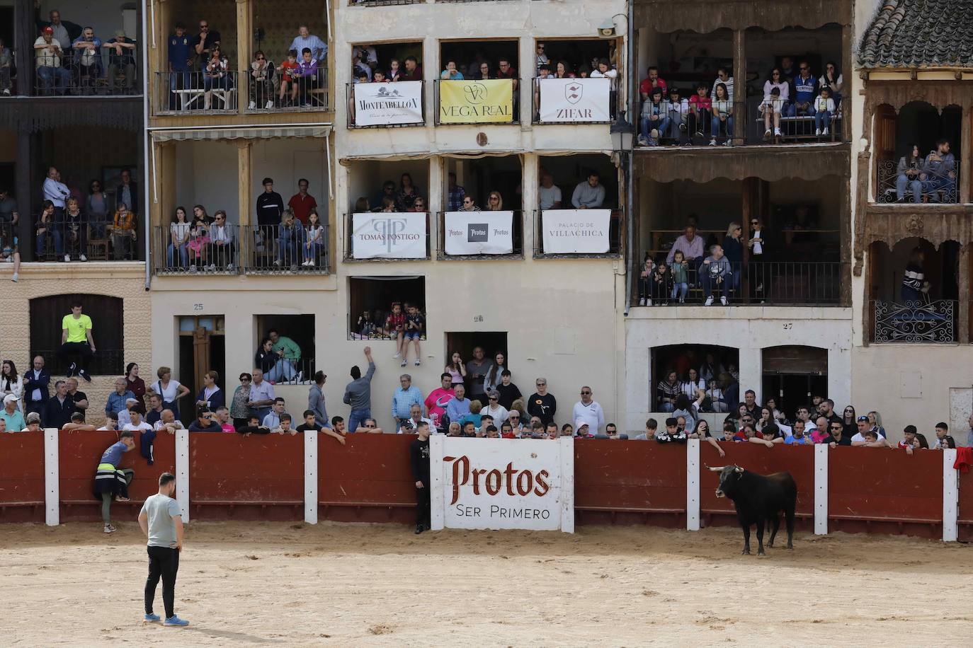 Encierro y capea del domingo por la mañana en Peñafiel