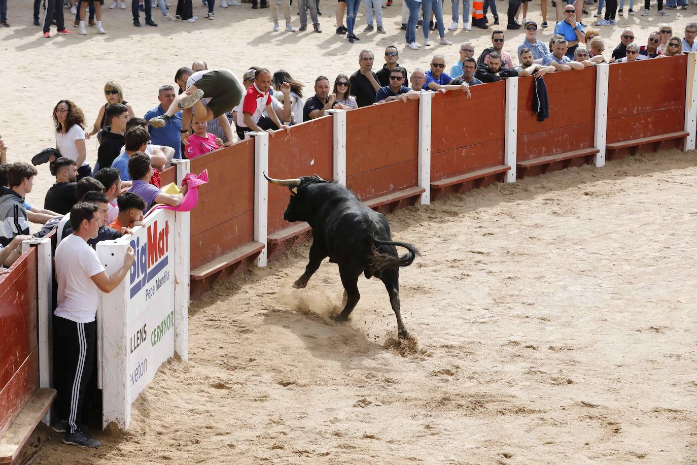 Encierro y capea del domingo por la mañana en Peñafiel