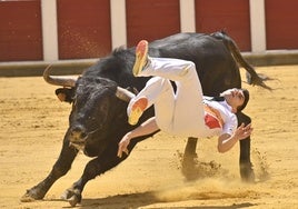 La cogida al cortador Christian Peñas en la plaza de toros de Valladolid.