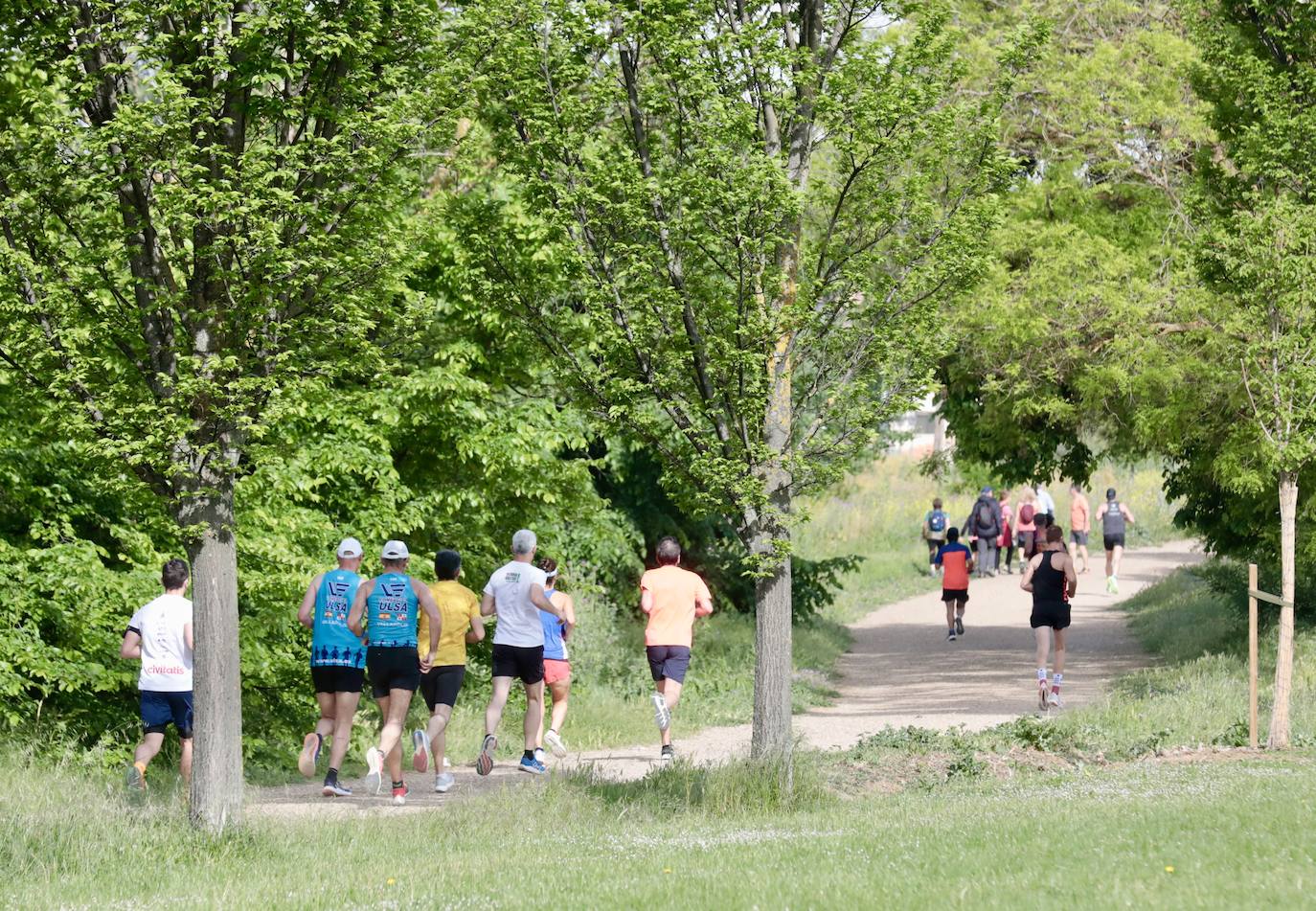 Carrera de la Ciencia en Valladolid