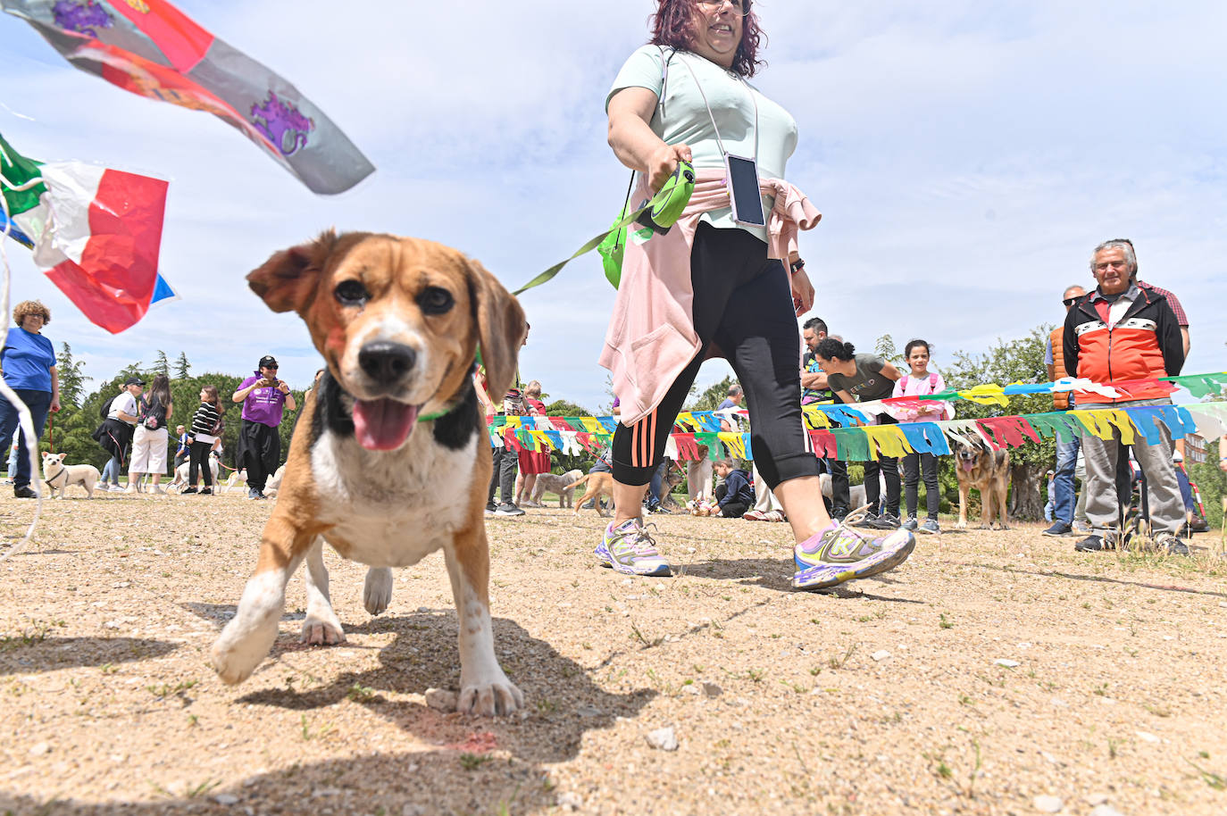 Desfile de mascotas en la ermita de San Isidro en Valladolid