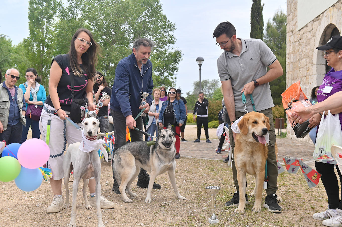 Desfile de mascotas en la ermita de San Isidro en Valladolid