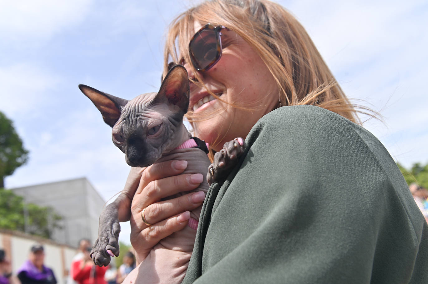 Desfile de mascotas en la ermita de San Isidro en Valladolid