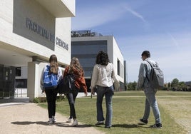 Varios alumnos caminan hacia la facultad de Ciencias, en el campus Miguel Delibes de la Universidad de Valladolid.