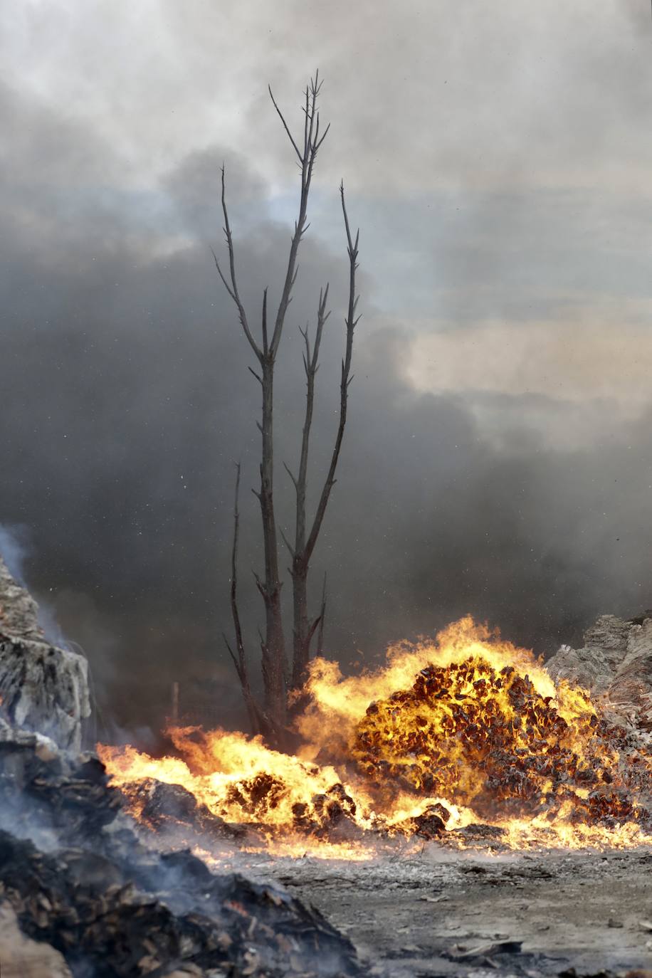 El incendio en Aldeamayor, en imágenes