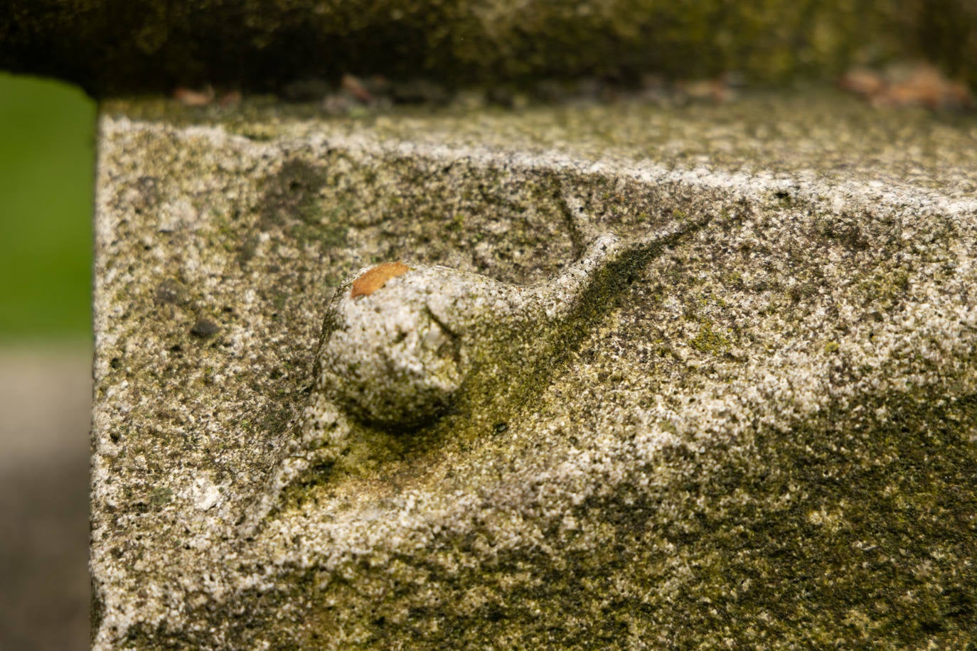 Detalle del caracol.