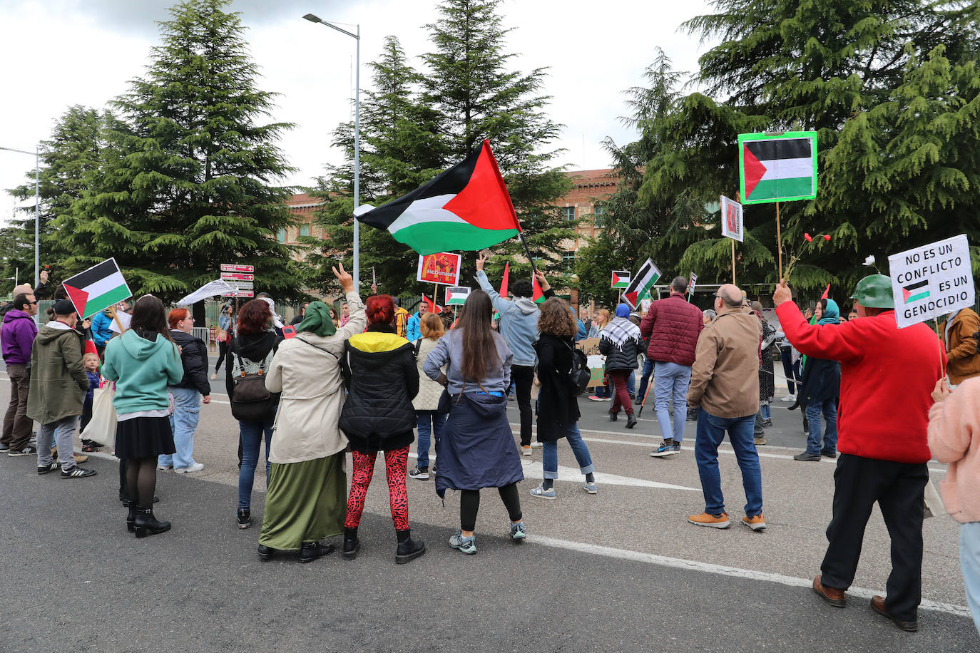Amapolas contra las balas en Palestina