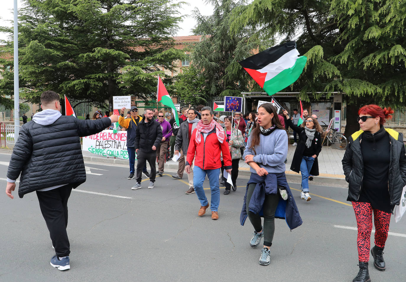 Amapolas contra las balas en Palestina