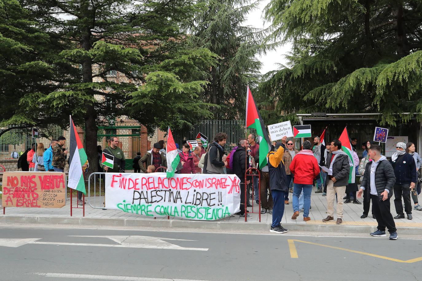Amapolas contra las balas en Palestina