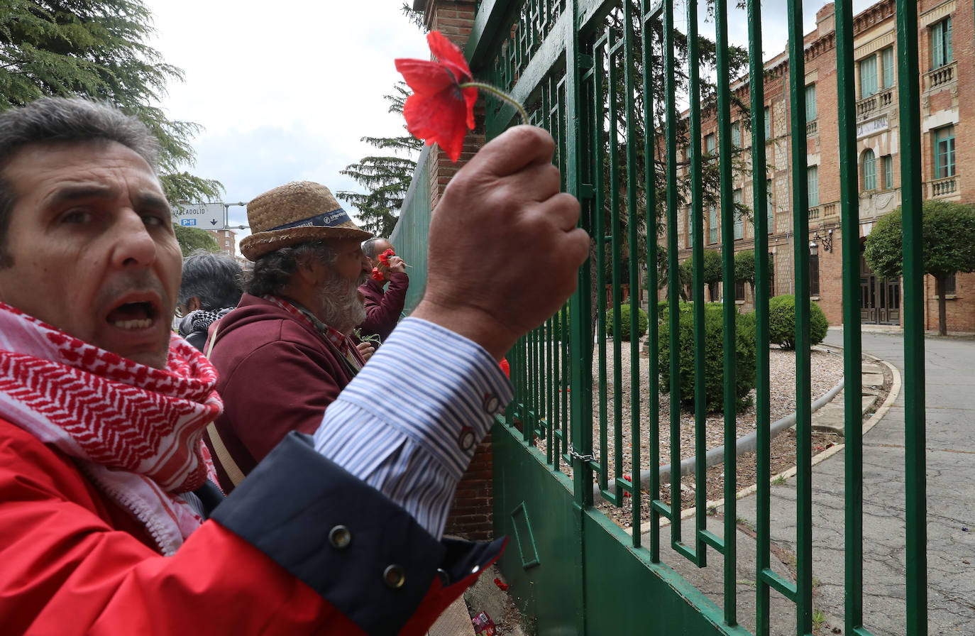 Amapolas contra las balas en Palestina