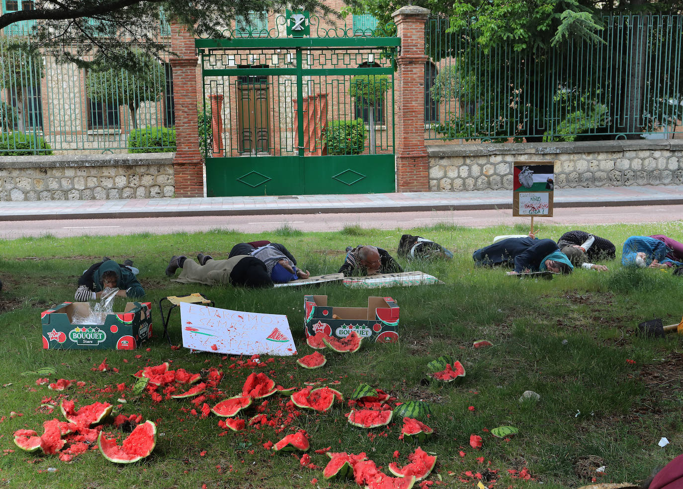 Amapolas contra las balas en Palestina