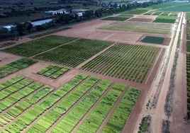 Cultivos herbáceos, de conservación y ecológicos en la Finca Zamadueñas del Itacyl.