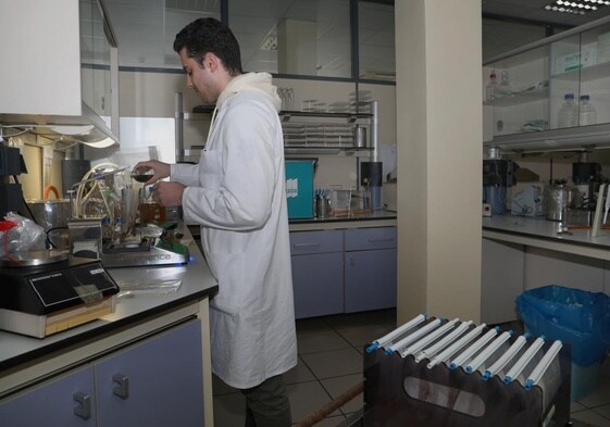 El enfermero Jaime Sánchez trabaja con unas muestras en el laboratorio del Servicio Territorial de Sanidad.