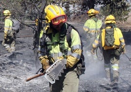 Brigadas y agentes medioambientales controlan y sofocan un incendio en Segovia.