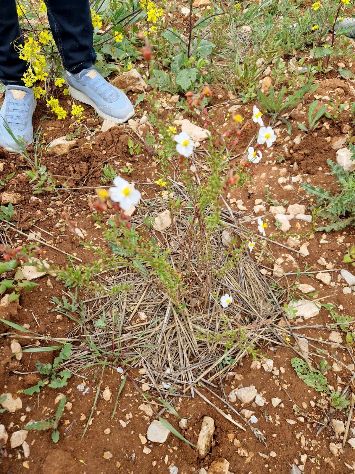 Jornadas de Formación en Turmicultura en Baltanás