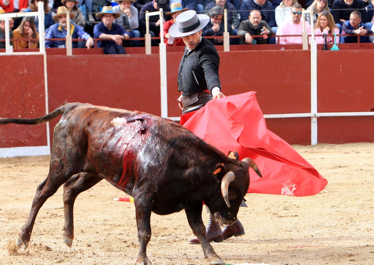 Imagen secundaria 1 - Arriba, el joven Jorge Oliva da un muletazo a su rival sentado en tablas; abajo a la izquierda, un pase de Finito de Córdoba, y a al derecha, Emilio de Frutos en la lidia del toro de su lote. 