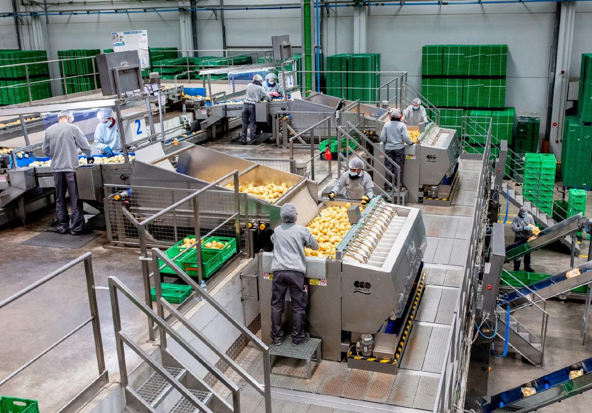 Las compras de Mercadona a proveedores de Castilla y León aumentan el 17%