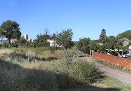 Terrenos de la zona del Paseo de Faustino Calvo, junto a la Dársena.