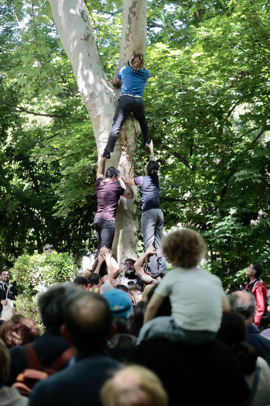 Compañía Circ Pistolet, circo Cataluña, Festival internacional de teatro y artes de calle