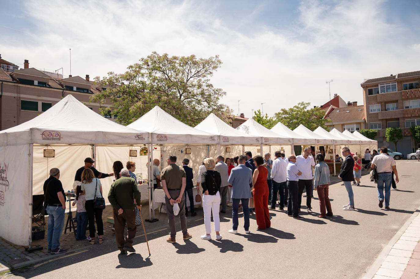 La Feria del Espárrago de Tudela de Duero en imágenes