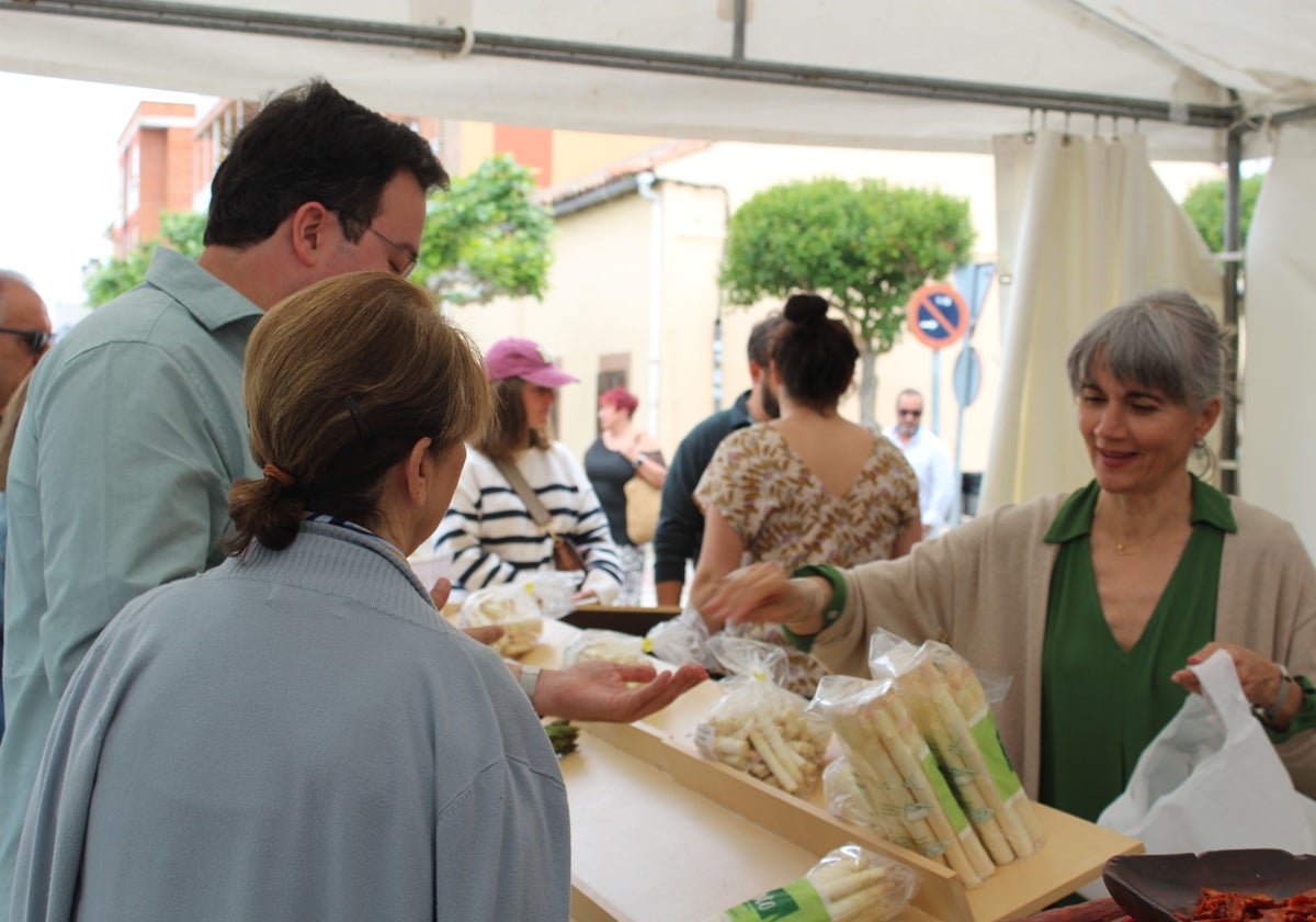 Expositores de la Feria del Espárrago de Tudela de Duero