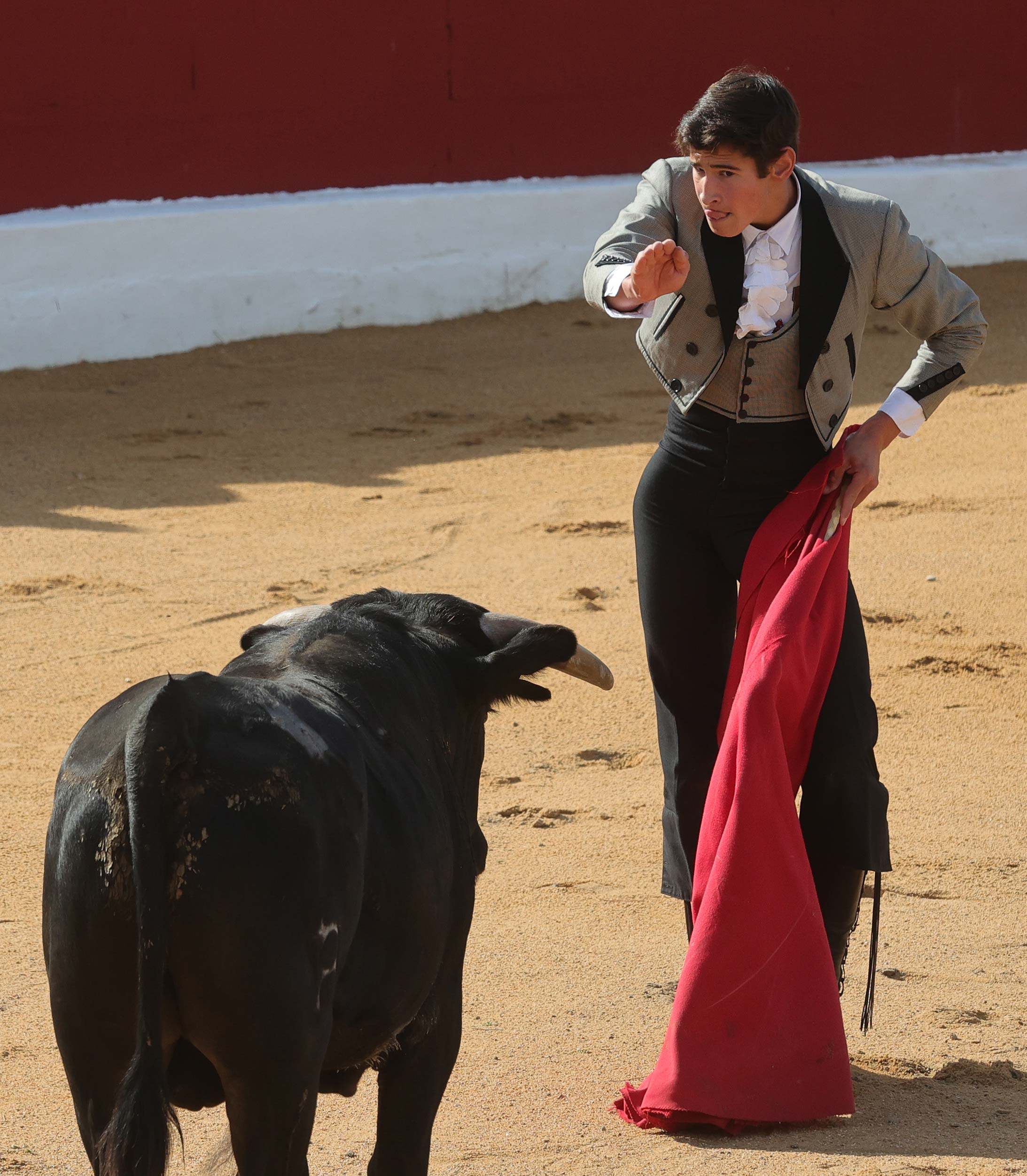 Final del bolsín taurino de Ampudia