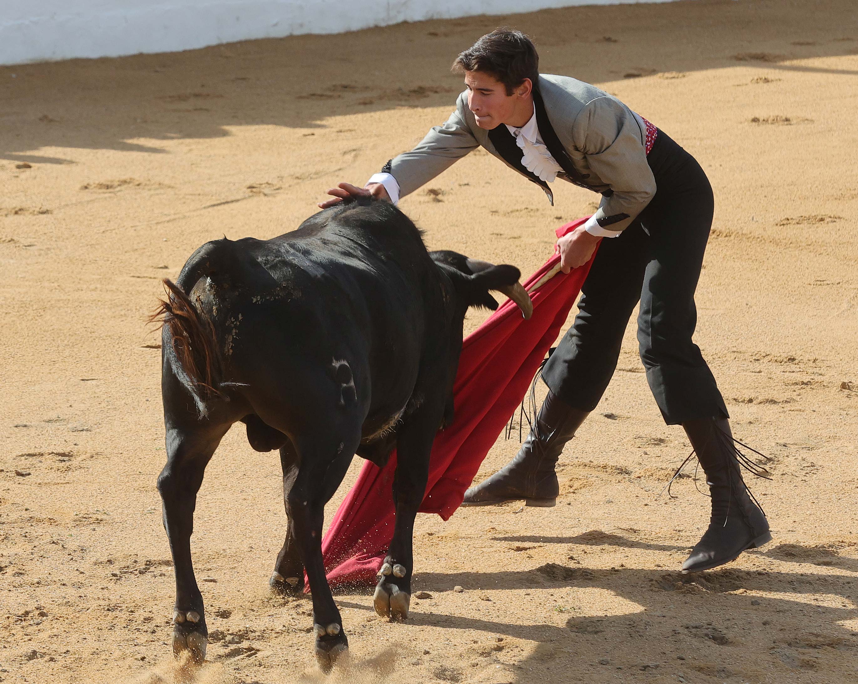 Final del bolsín taurino de Ampudia