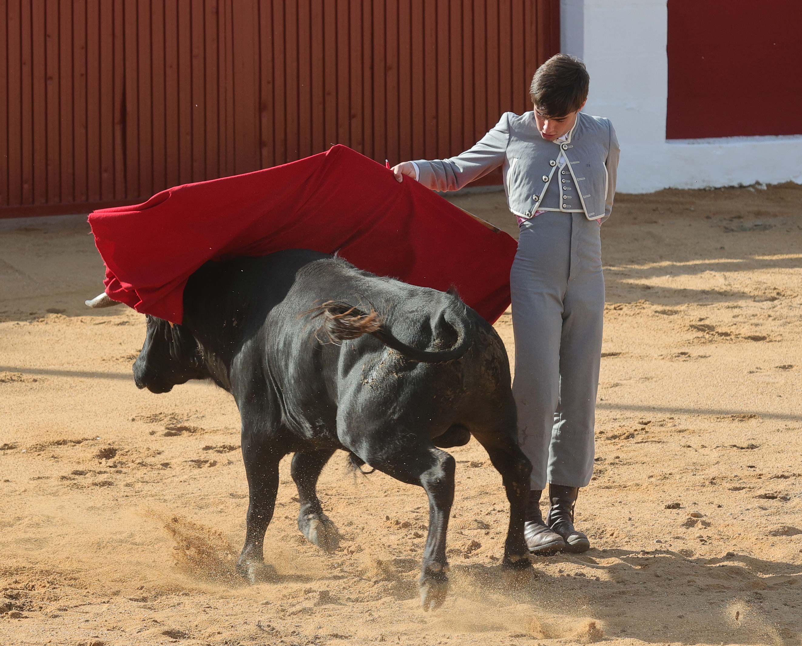 Final del bolsín taurino de Ampudia