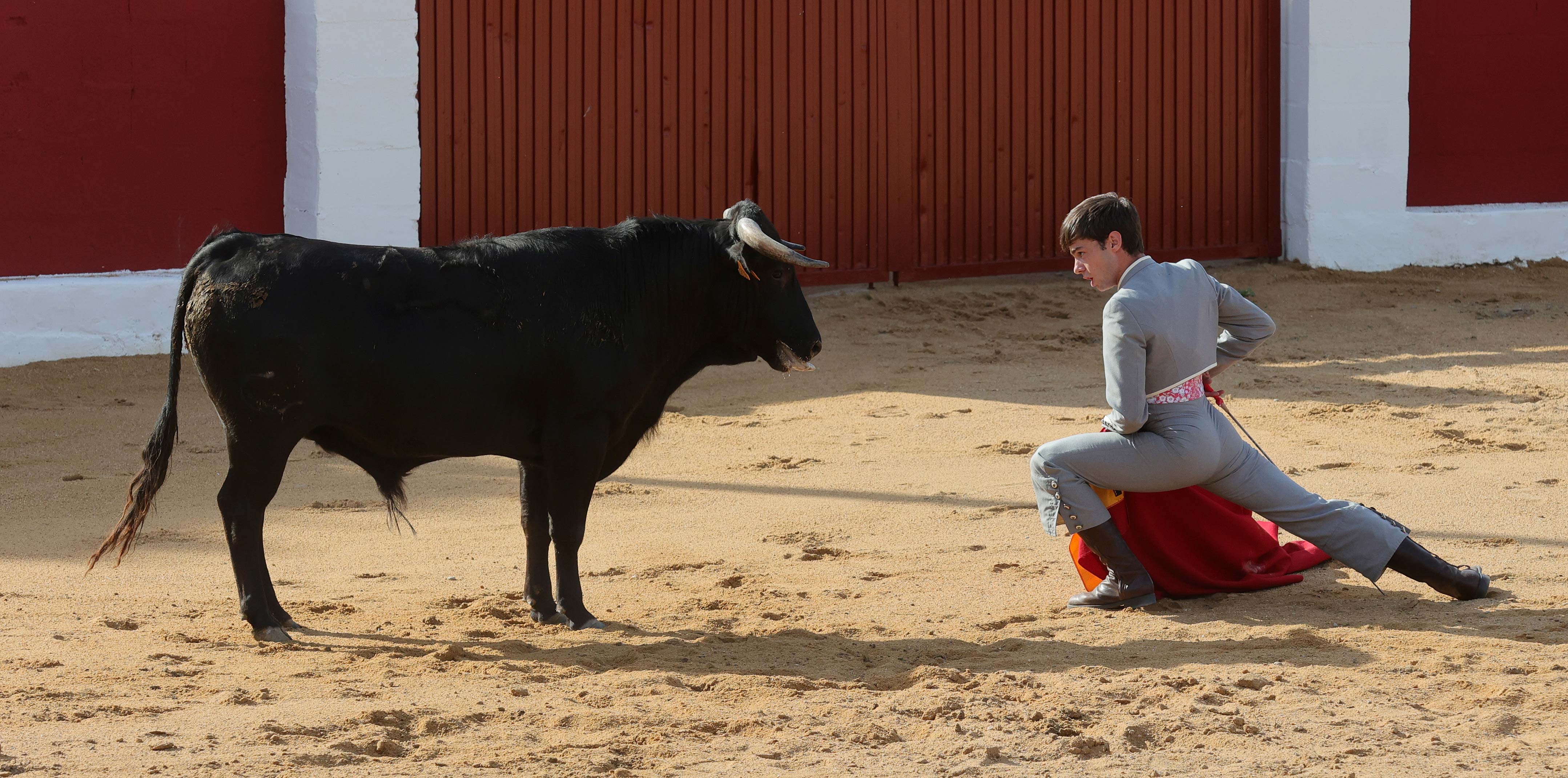 Final del bolsín taurino de Ampudia