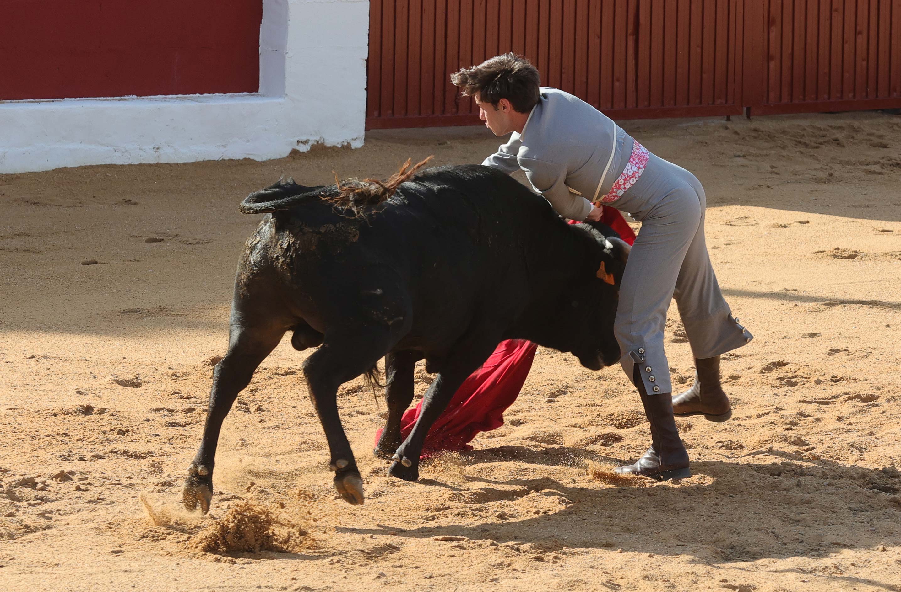 Final del bolsín taurino de Ampudia