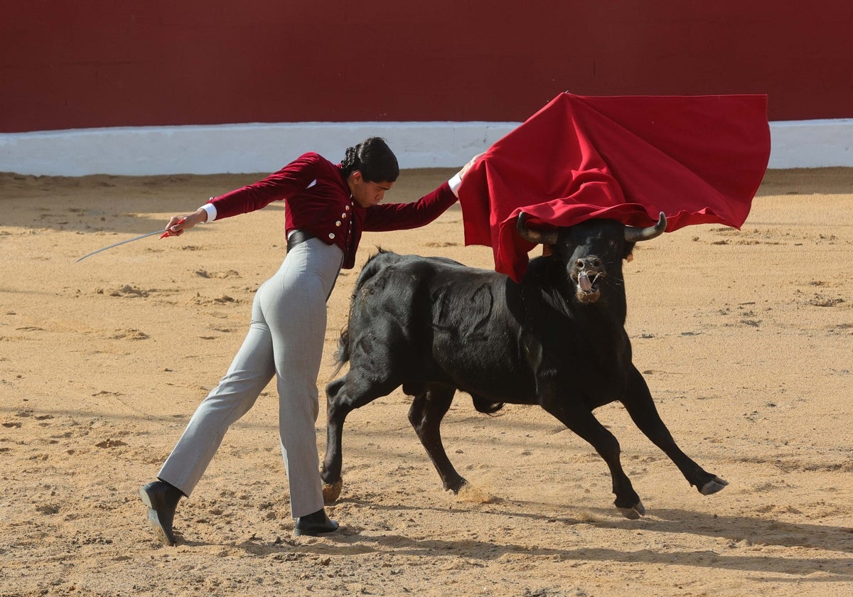 Final del bolsín taurino de Ampudia