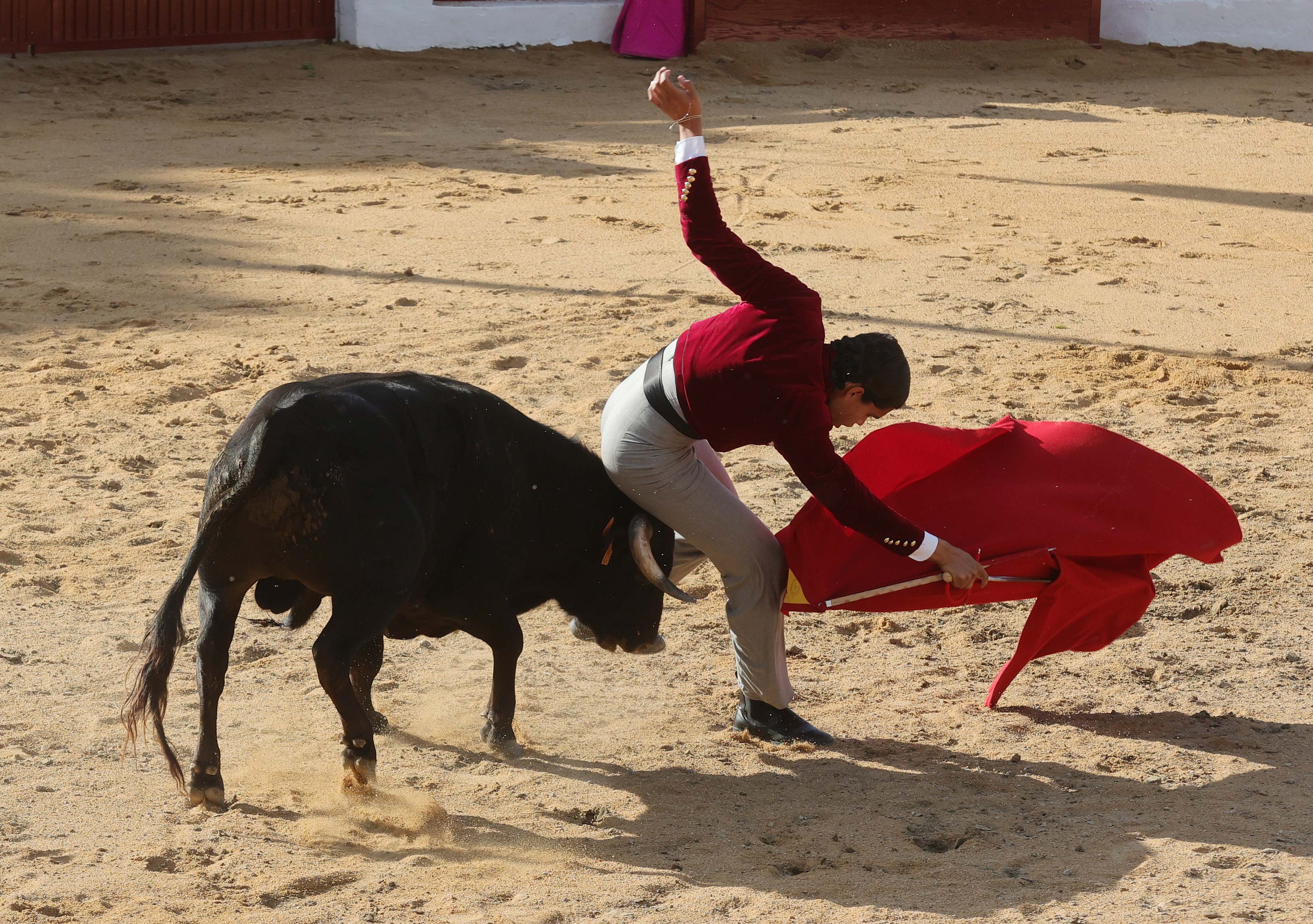 Final del bolsín taurino de Ampudia