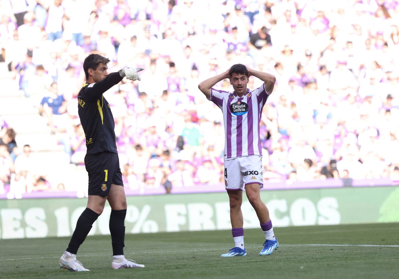 Todas las fotos del Real Valladolid - Villarreal B