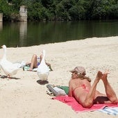 Cesan a la jefa de Sanidad Ambiental tras la polémica por los análisis de las Moreras