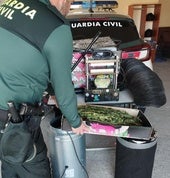 Pillado con casi un kilo de marihuana y una Taser tras una discusión de pareja