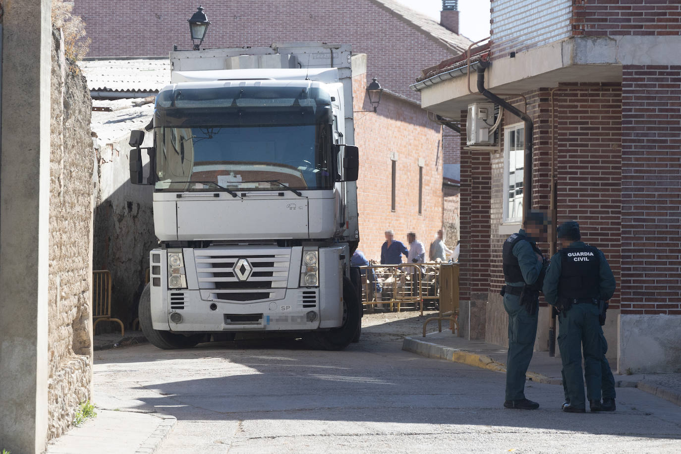 Ovejas de la granja ilegal de Renedo