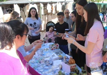 La iniciativa 'Ecobón' une reciclaje y solidaridad