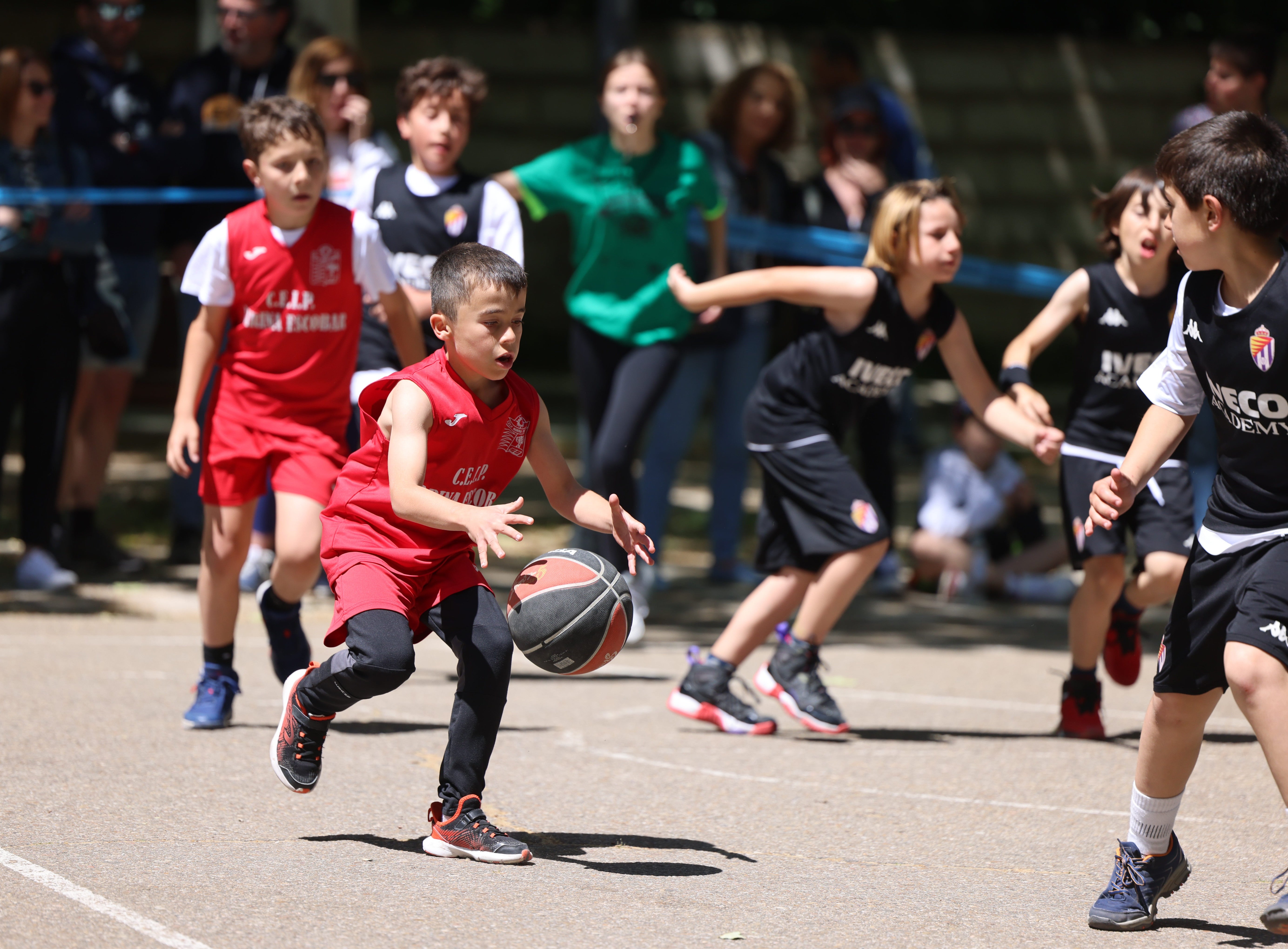 Día del Minibasket en Valladolid