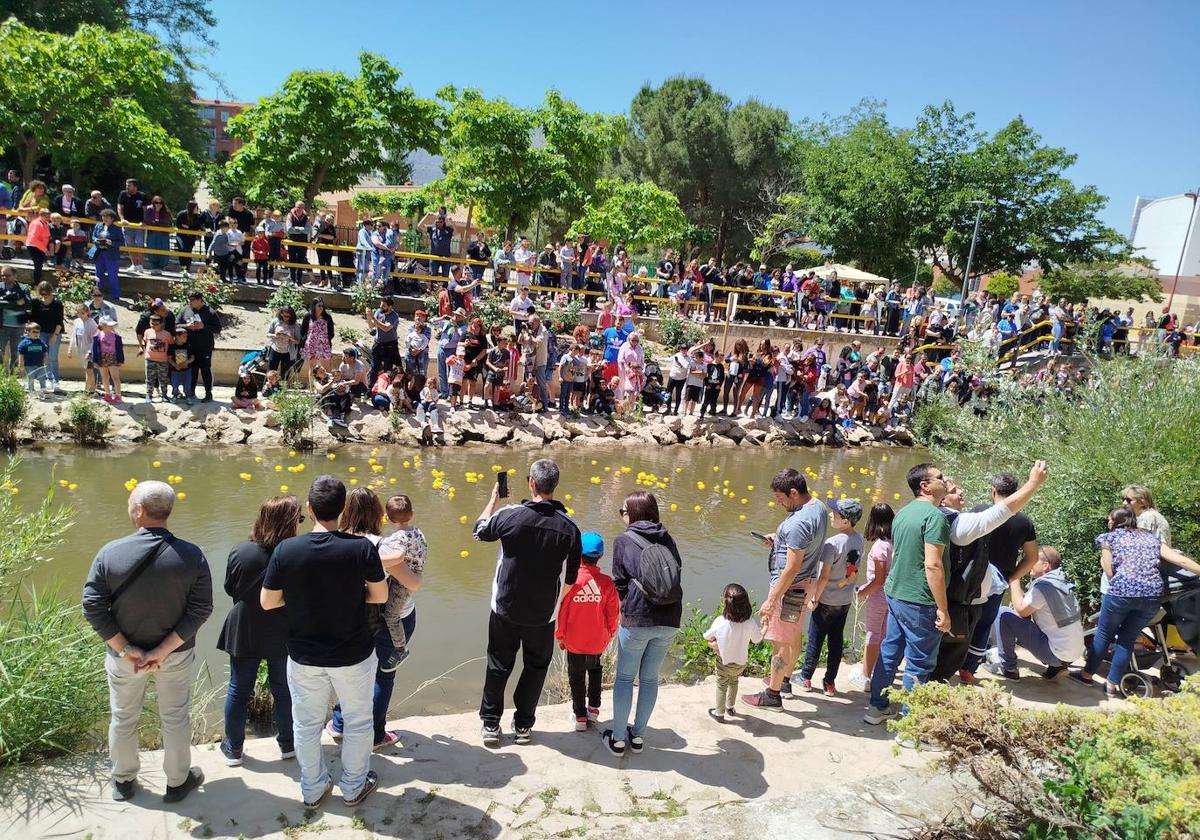 Carrera de patitos de goma solidarios en Valladolid