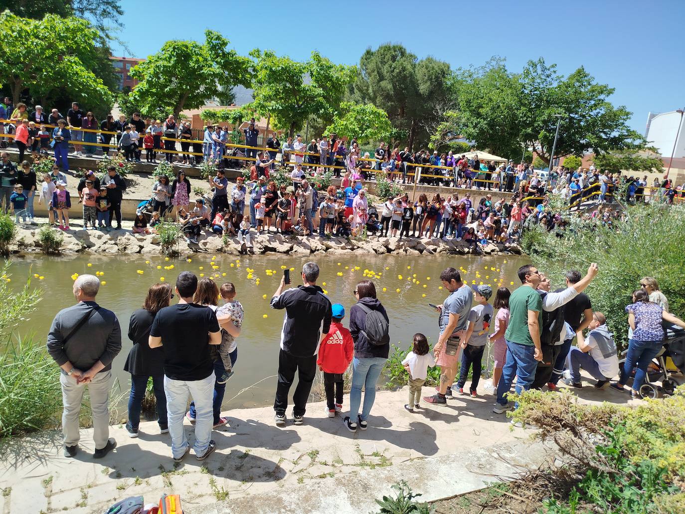 Carrera de patitos de goma solidarios en Valladolid