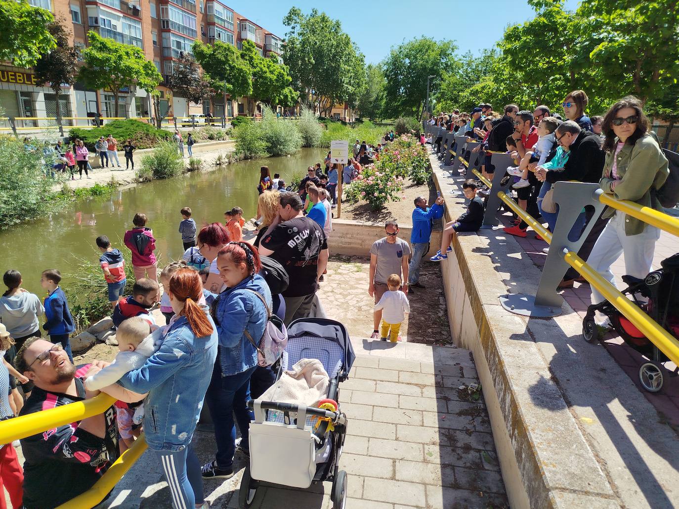 Carrera de patitos de goma solidarios en Valladolid