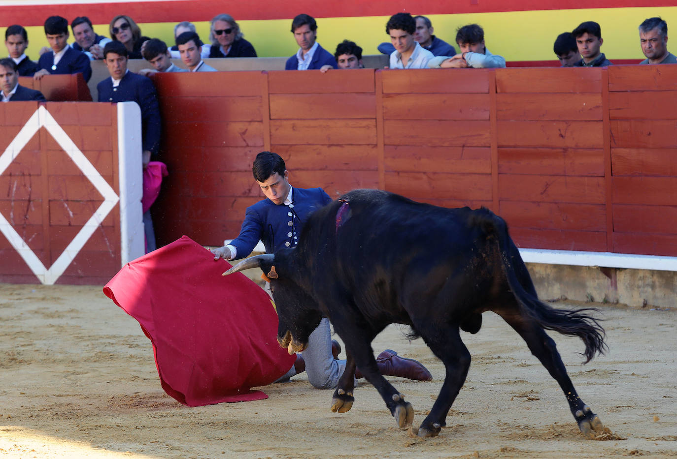 Novillada de la Escuela Taurina de Palencia por la Feria Chica