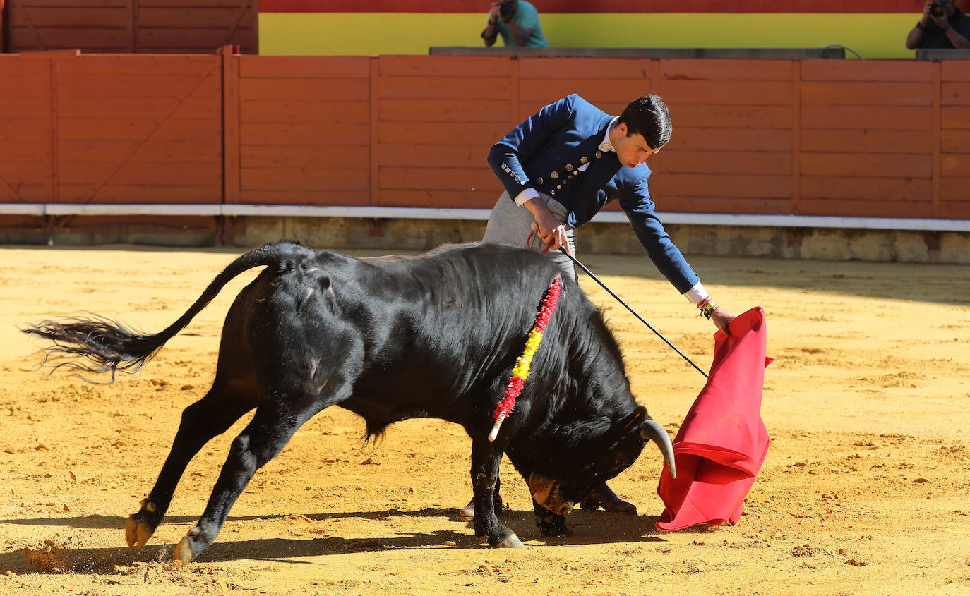 Novillada de la Escuela Taurina de Palencia por la Feria Chica