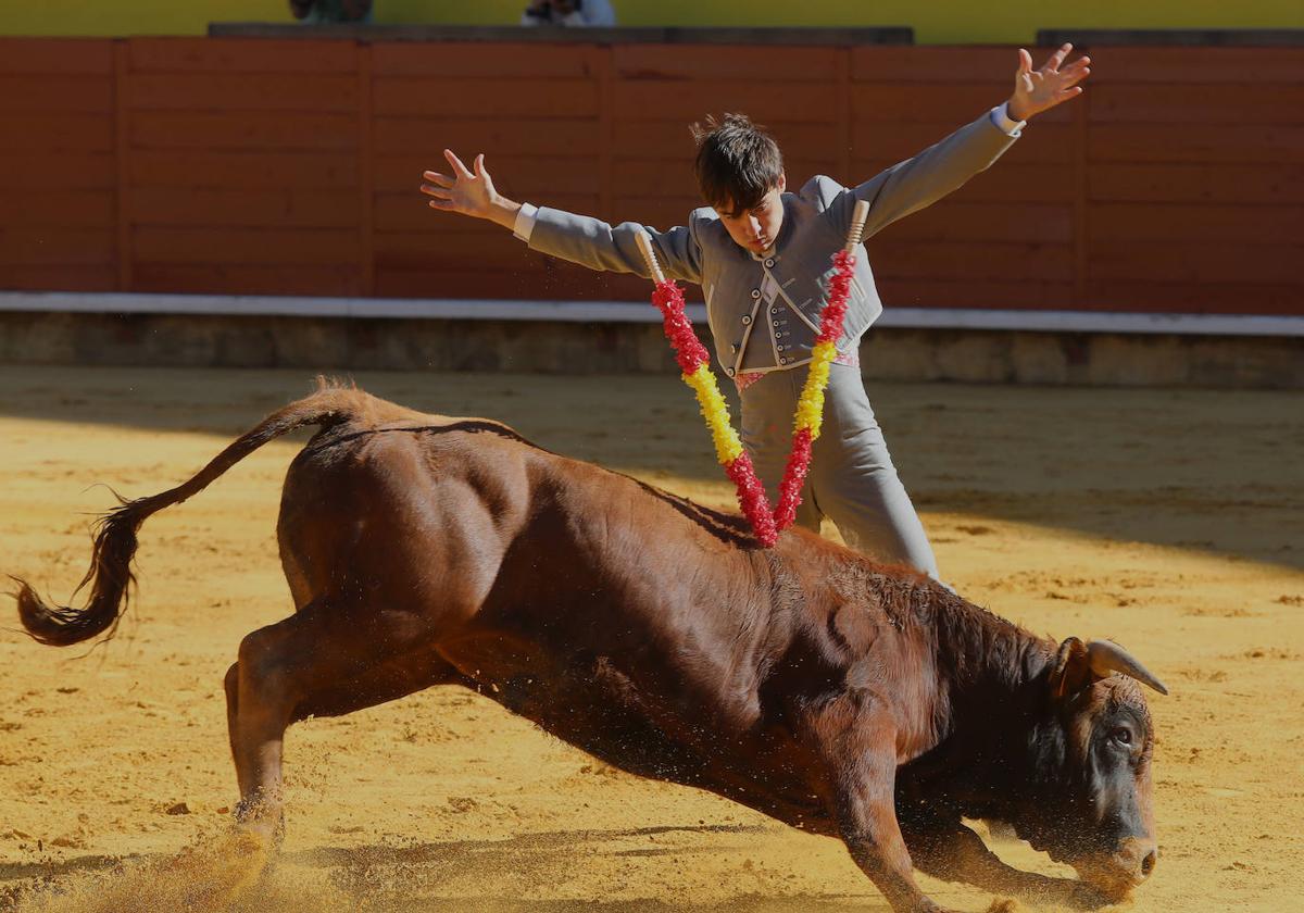 Novillada de la Escuela Taurina de Palencia por la Feria Chica