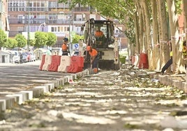 Trabajos del carril bici de Juan Carlos I, desde la calle Canterac hasta la carretera de Soria.