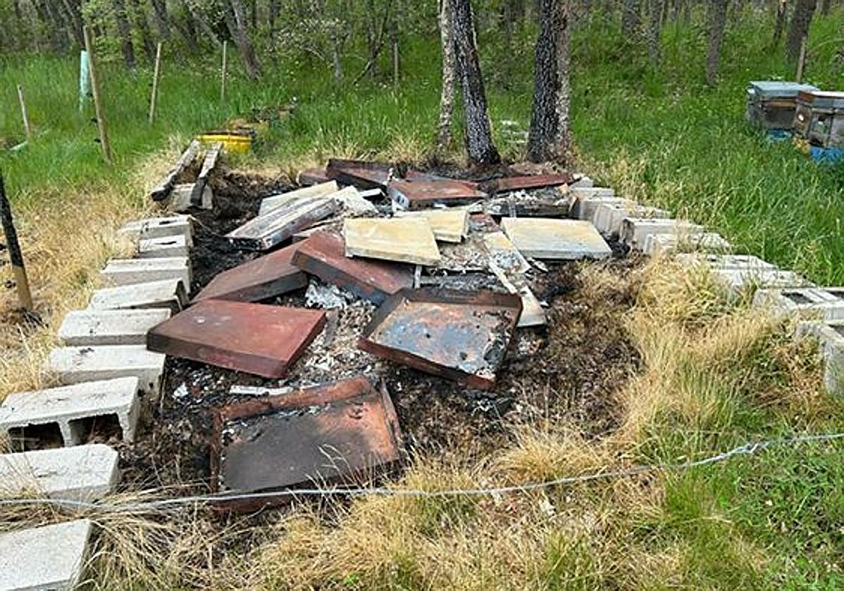 Colmenas quemadas en Valberzoso.