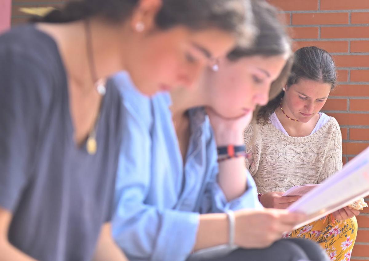 Imagen secundaria 1 - Tres maneras de afrontar el descanso de la EAU: hablando con los compañeros, estudiando con ellos o repasando a pesar de los nervios.