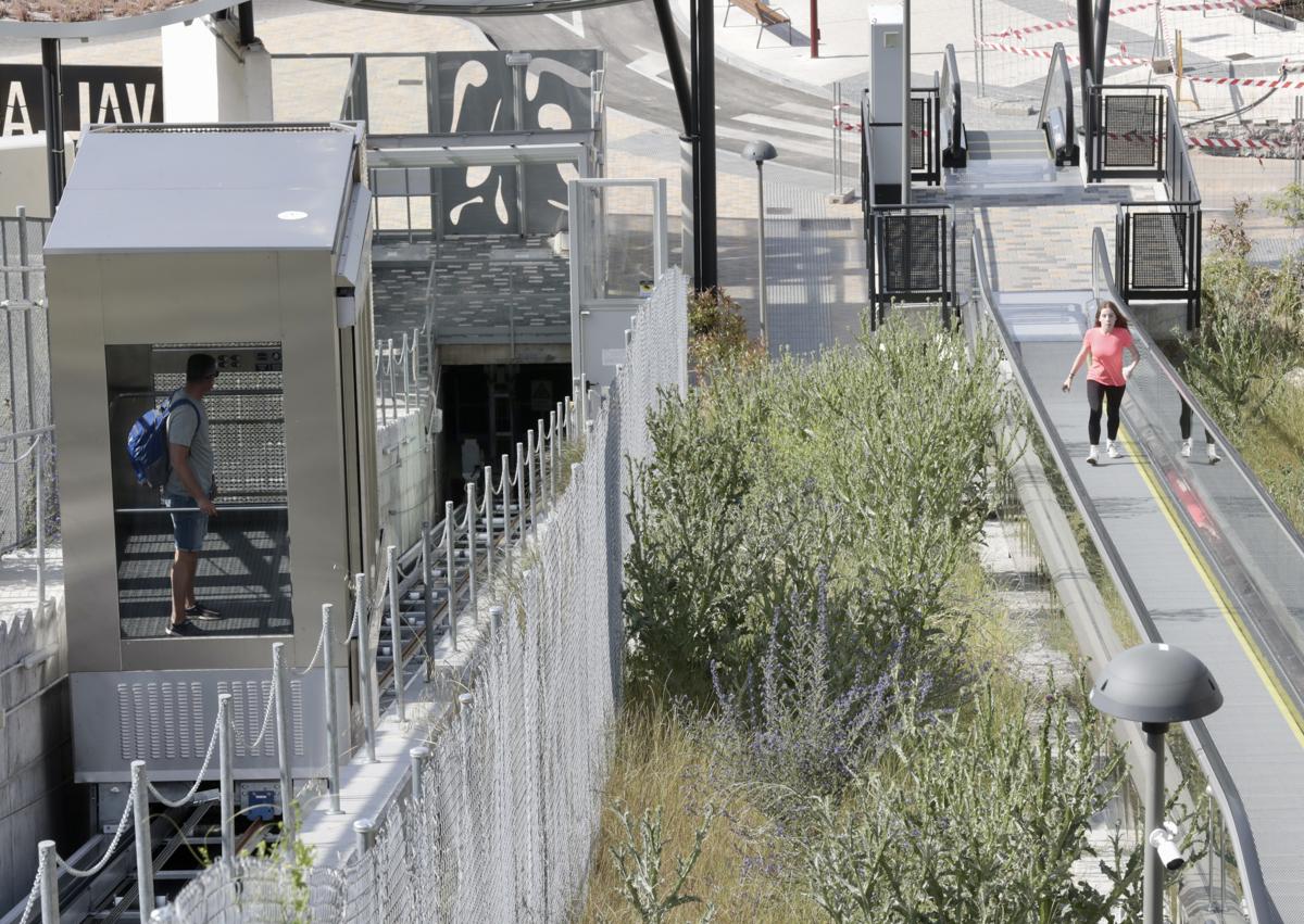 Imagen secundaria 1 - Vegetación, en la ladera de Parquesol junto al elevador.