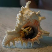 Un pincho con 'sabor a mar' en el corazón de Villa del Prado