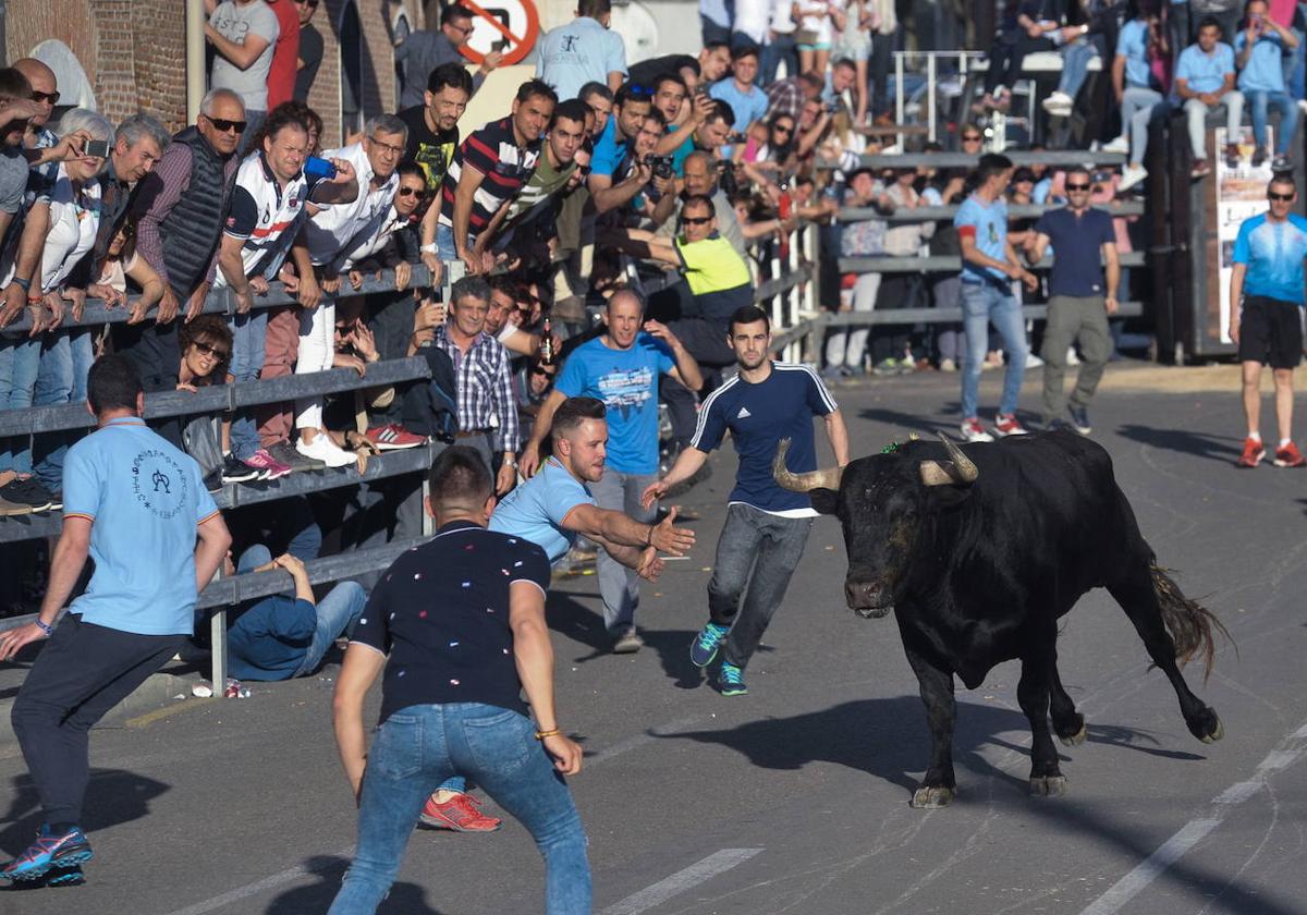 Celebración del Toro de la Feria en una edición anterior.